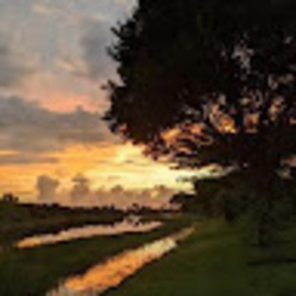 Meet your Posher, Thais - Picture 1 of 1